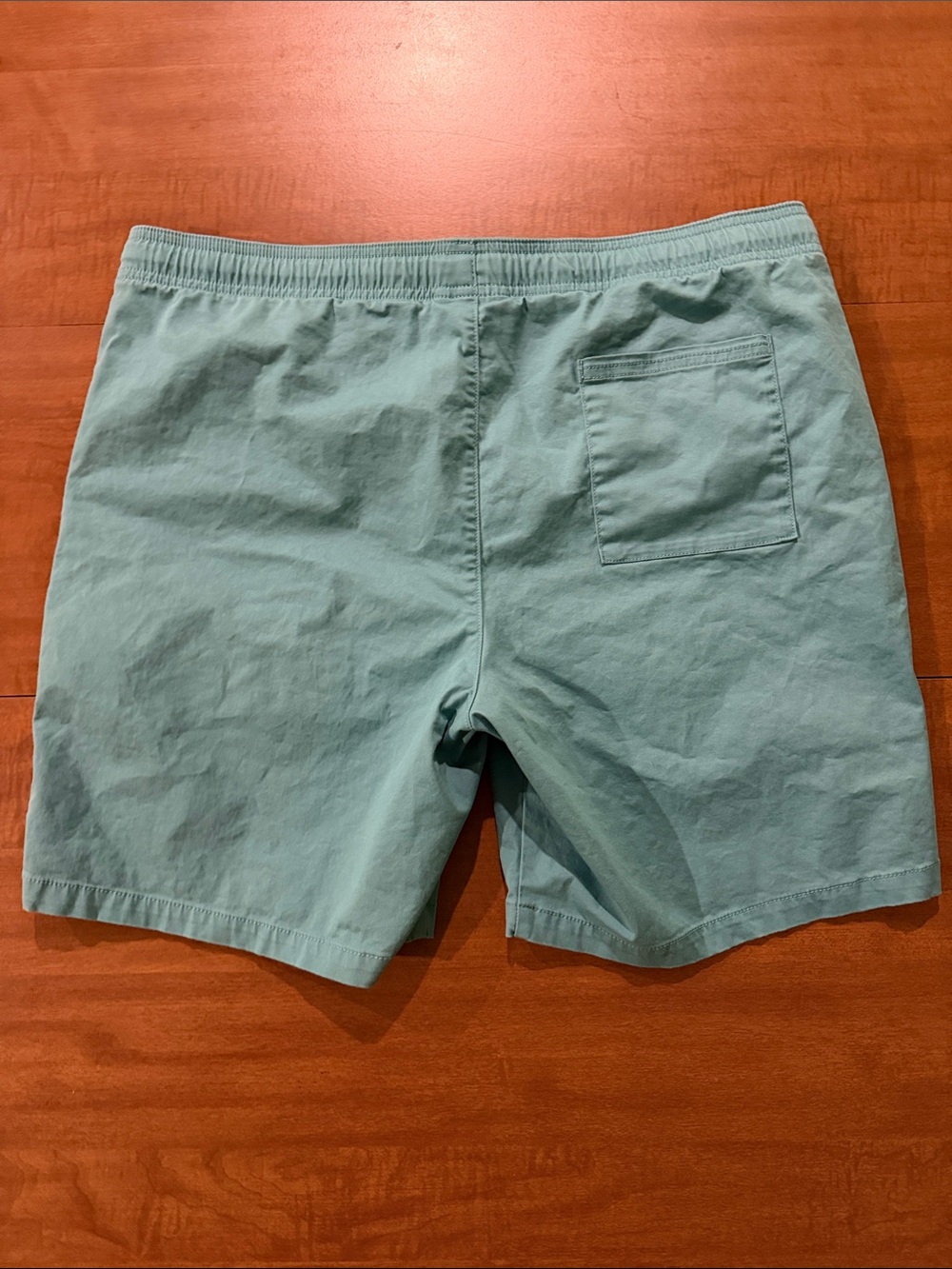 Goodfellow & Co Teal Shorts with Contrast Drawstring - Picture 3 of 3